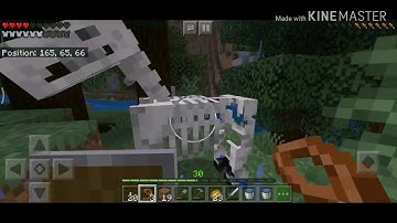 How to find skeleton horse [Minecraft survival]
