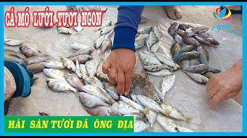 Ngon Lạ CHỢ HẢI SẢN ĐÁ ÔNG ĐỊA Cuối Tuần Phan Thiết Mũi Né #1