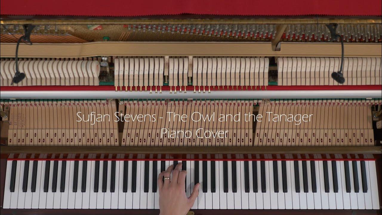 Sufjan Stevens The Owl and the Tanager Piano Cover YouTube