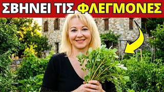 ΜΗΝ ΤΗΝ ΠΕΤΑΤΕ! Το "Ζιζάνιο" για Φλεγμονές, Σάκχαρο και Καρδιά!