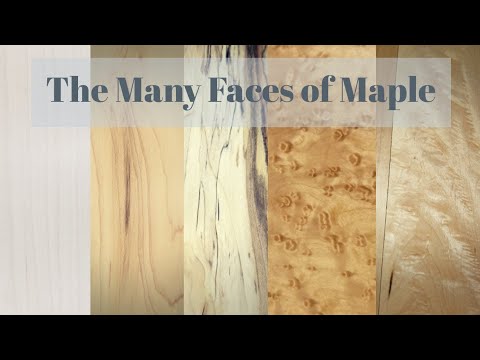 Video: Maple wood: appearance, properties and use