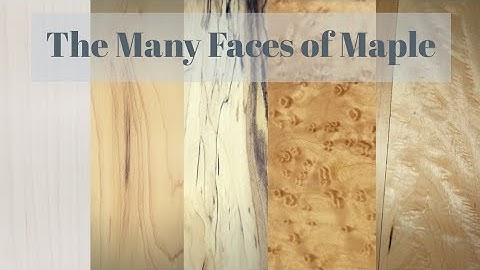 The Many Faces of Maple - A Woodworkers Guide to the Many Varieties of Maple Lumber