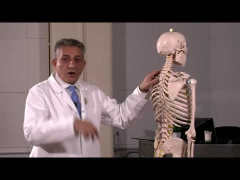 TV 242: spine conditions and exercises (part 1)  بیماری های ستون فقرات و تمرینات قسمت 1