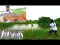 Fishing | Float Fishing Video | Big Rohu fish catching videos | Fishing videos