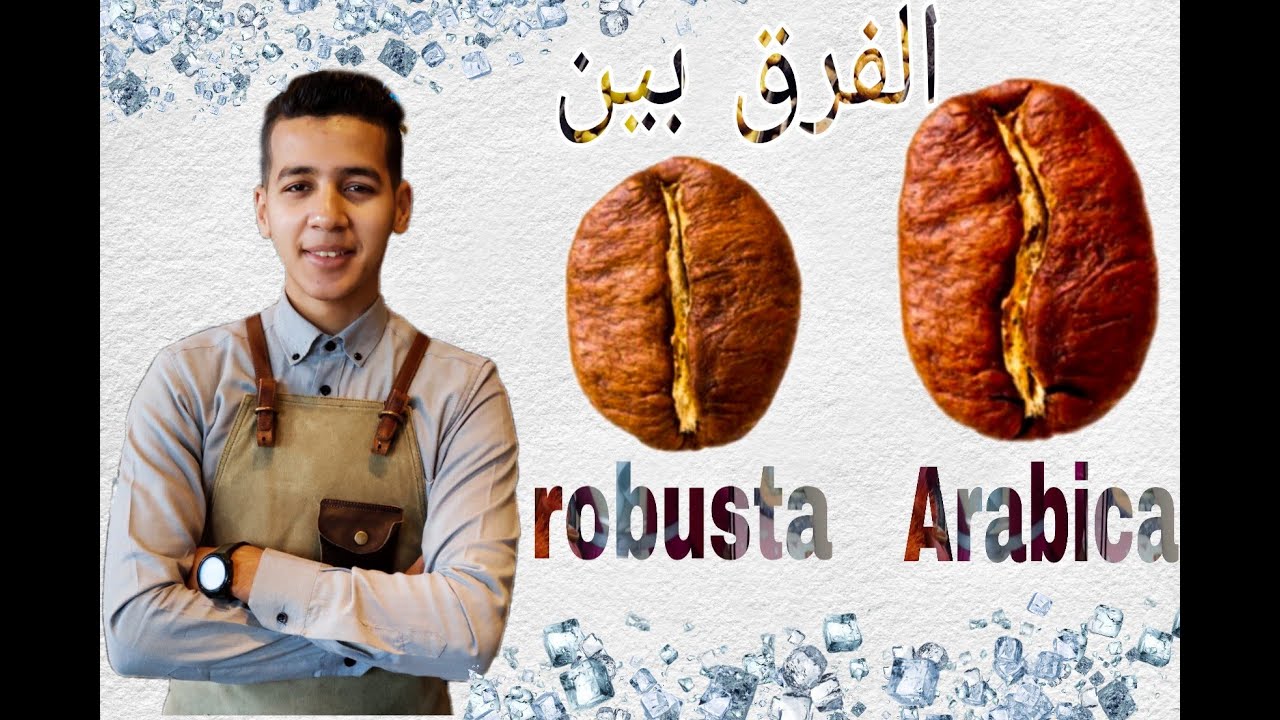 مقارنة بين حبوب الاربيكا و الروبوستا / The Difference Between Arabica and Robusta
