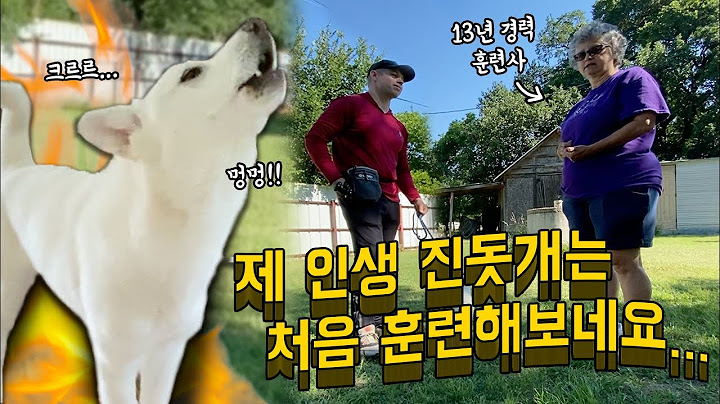 미국 훈련사가 진돗개 공주의 행동에 깜짝 놀란 이유!!