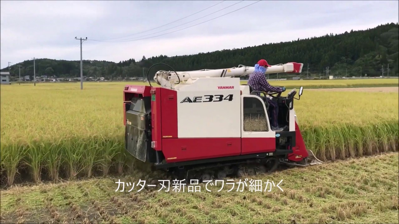 ヤンマーコンバイン AE334 カッター切刃と刈り取り刃交換で好調に