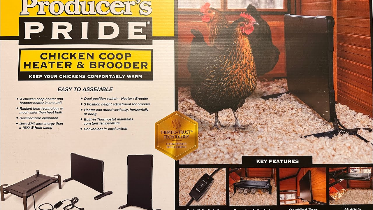 Unboxing, Test and Initial Impression: PRODUCERS PRIDE Chicken Coop Heater  and Brooder Plate 