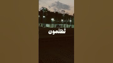 سورة النساء - الشيخ ياسر الدوسري #اكسبلور #المصحف