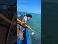 I Thought It Was Over… Then a Giant Grouper Tried to Steal My Catch #amazing #spearfishing #shorts