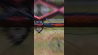 Ripmo and Ripley AF v2