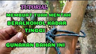 CARA MEMBUAT TUAK JADI BERALKOHOL KADAR TINGGI