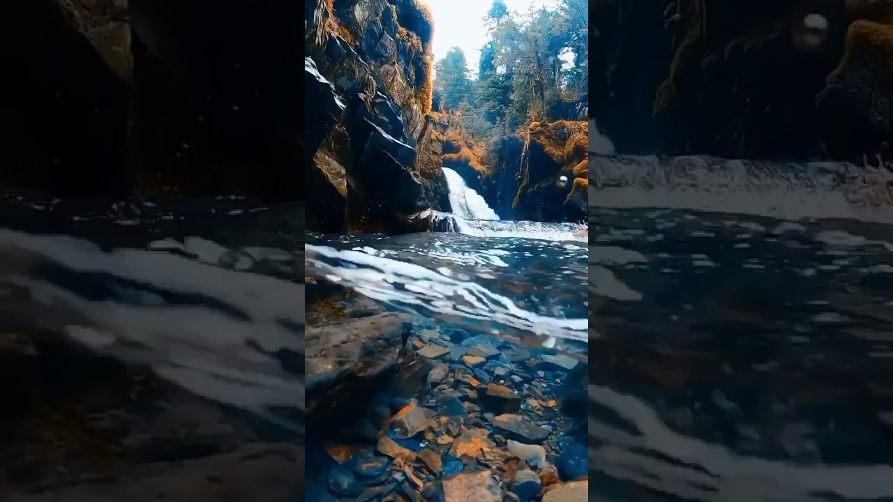 Nature Lovers Forever Status Trending Whatsapp Status Romantic