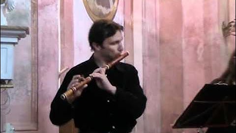 Ouverture - J.S.Bach: Suite no.2 in b minor BWV 1067 - 1 - Mate Palhegyi flute