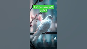 تلاوة عطرة من الذكر الحكيم