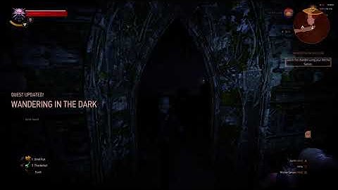 The Witcher 3 Nvidia Shadowplay Vs FBX Recorder : 1440p Link in Description.