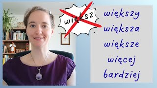 картинка: В польском нет слова większ!🙈😱 A что тогда есть? Есть целых 5 других слов! Давайте разберемся☺️