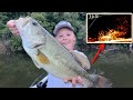 Big bass fishing catch clean and cook