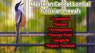 PANCINGAN CENDET ISIAN LOVEBIRD KENARI ARMAGEDDON GEREJA PETIR 100% COCOK BUAT MASTERAN LOMBA