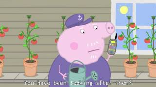 Peppa Pig - Champion Daddy Pig 41 Episode 3 Season Hd