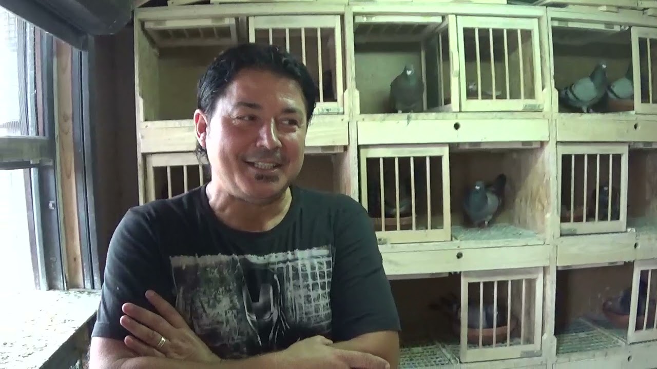 Interviu columbofil dl Duica Iulian Bucuresti Romania 22 august 2021