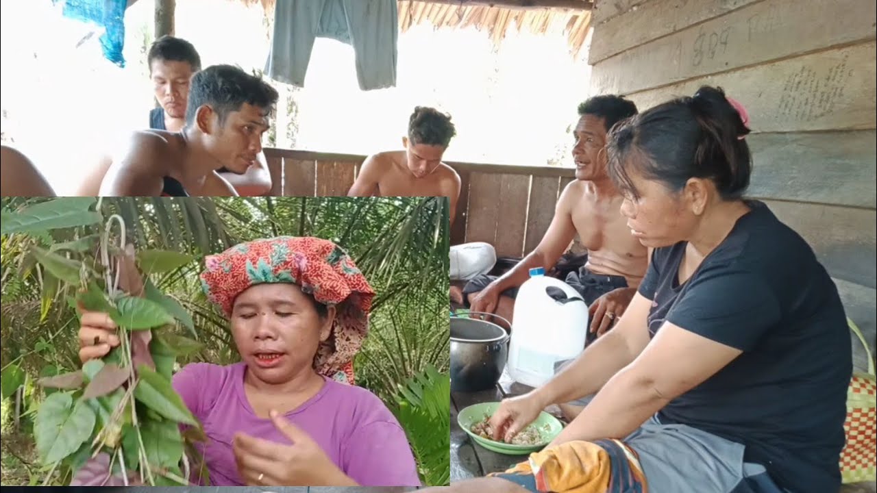 inilah kebersamaan kami di gubuk pembawa berkah ‼️ daun riang riang ...