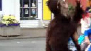 Sasquatch sighting in Squamish B.C.