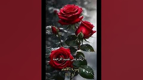 سورة الانعام الآية ٥٤