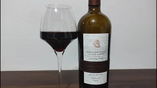 0242 - Santa Alicia Gran Reserva Merlot 2016 Wine - YouTube