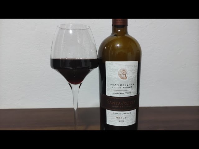 0242 - Santa Alicia Gran Reserva Merlot 2016 Wine - YouTube