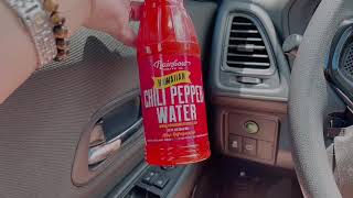 RAINBOW DRIVE IN CHILI PEPPER WATER DRINK