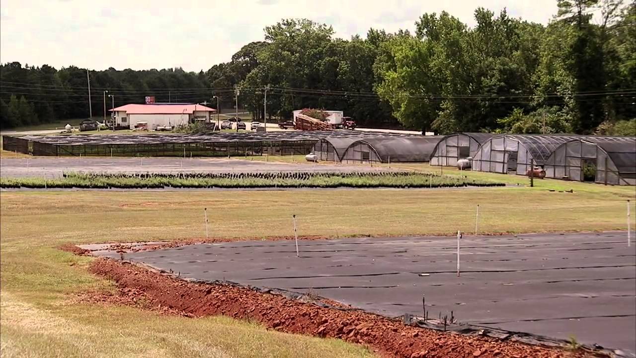 Alabama Nursery America's Heartland YouTube