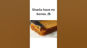 "Cutting a Honeycomb Block | Real & Satisfying ASMR"