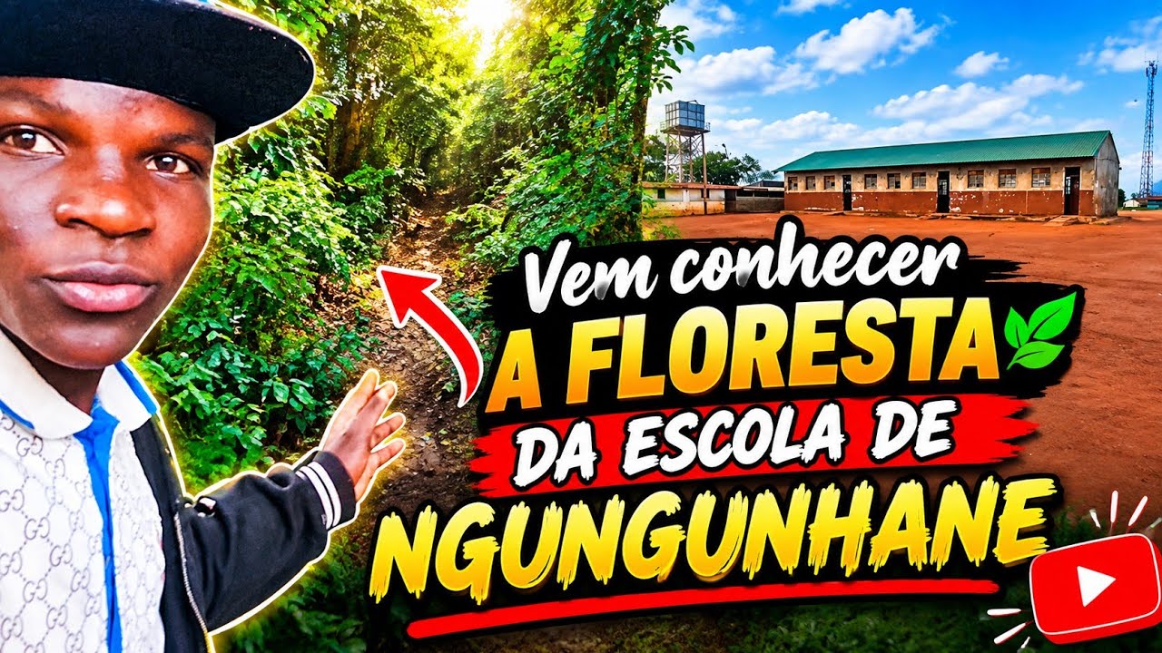 Minha primeira vez em floresta de NGUNGUNHANE