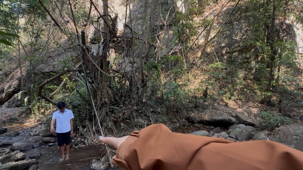 มาเจอน้องต้นไม้ใส่ชุดนักเรียนในป่า!!!มาทำอะไรที่นี่