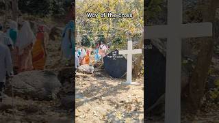 Way of the Cross✝️ #lent #lent2026 #ytshorts #goodfriday