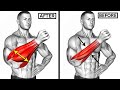 8 BEST Exercises for BIGGER Forearm