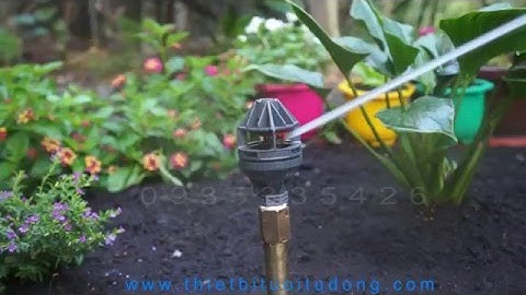 Vòi tưới phun mưa xoay 360 độ R2000 Nelson