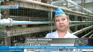 Перепелиная ферма в Актобе расширяет производство(В Актобе будет открыта перепелиная ферма, аналогов которой нет в Западном Казахстане. Актюбинский предприн..., 2013-02-09T05:57:42.000Z)