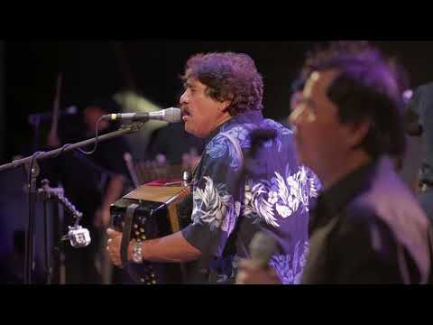 Celso Piña - Cumbia Campanera (en vivo) ft. la Orquesta de Baja California