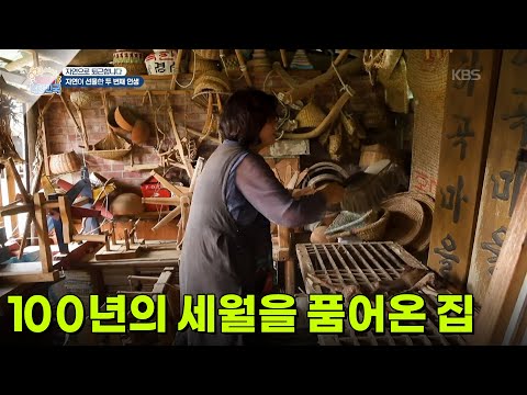 [자연으로 퇴근합니다] 100년의 세월을 품어온 집 [생방송 굿모닝 대한민국] | KBS 260904 방송