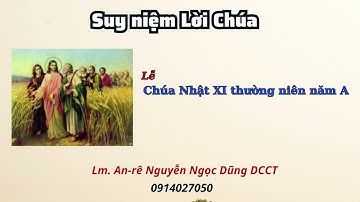 Suy niệm Lời Chúa Chúa Nhật XI thường niên năm A Lm. Anre Nguyễn Ngọc Dũng