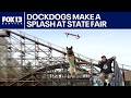 Dock diving dogs steal the show at Puyallup Spring Fair | FOX 13 Seattle