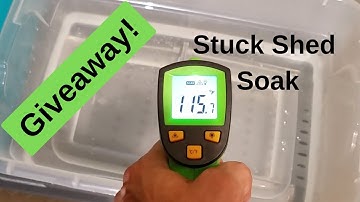 Ball Python Stuck Shed | Giveaway