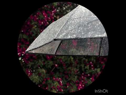 الكبسي مدام وعاده سغير لابد يتعلم