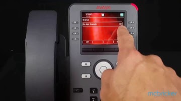 Do Not Disturb J169 J179 Avaya IPOffice