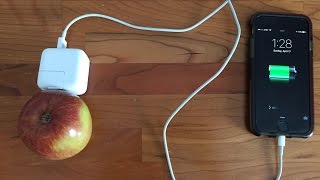 Turning fruit into electricity