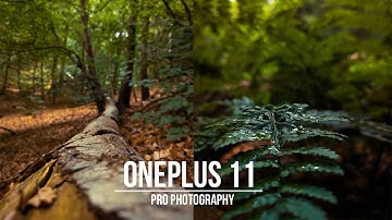 I used the full Power of the OnePlus 11