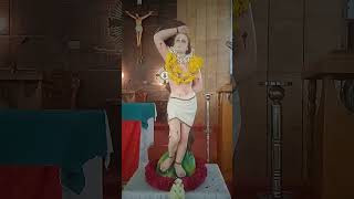 ST Sebastian Pray for Us