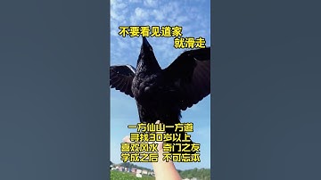 There are five requirements for accepting apprentices, as follows.收徒，会有几个要求。师父Wechat🔮VIP202585（莫问归期）